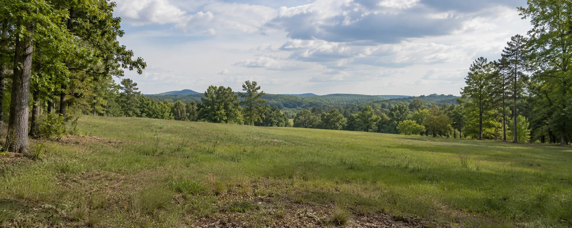 Open land with trees in the distance