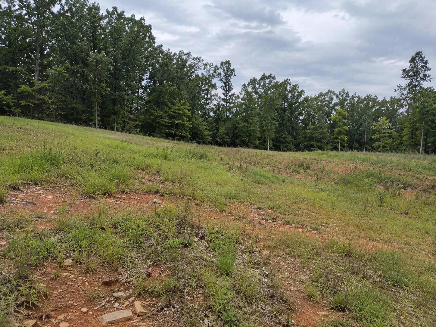 Suitable Land In Central VA